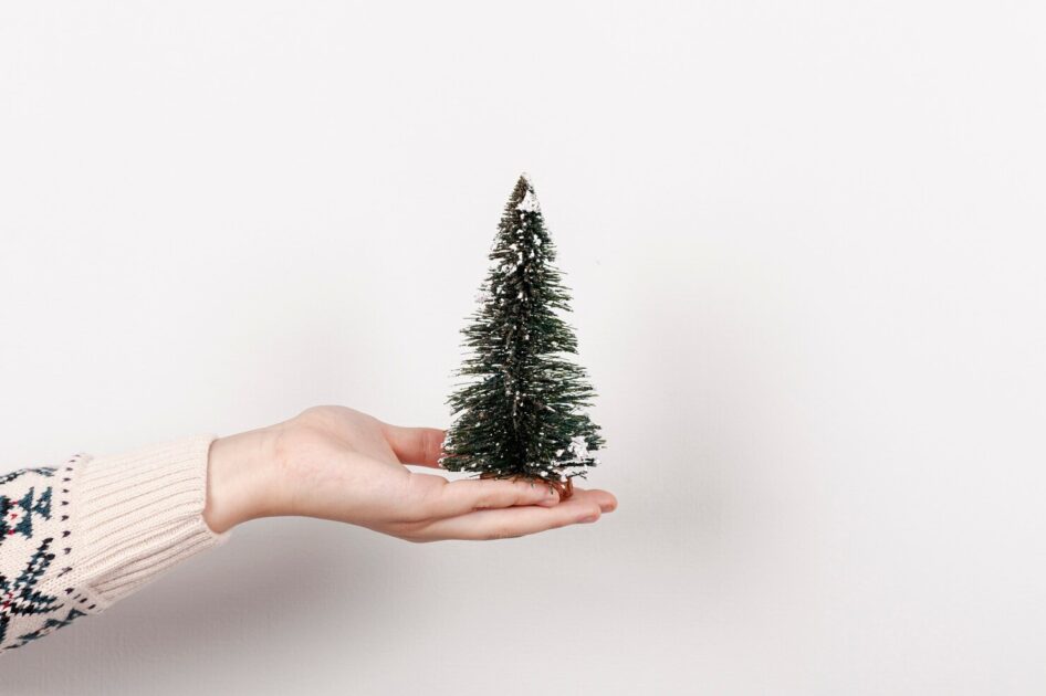 Биолог дала совет, как мыть искусственную елку Биолог дала совет, как мыть искусственную елку