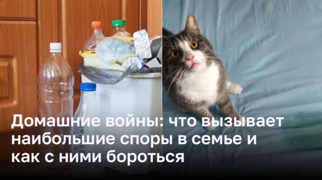 Домашние войны: что вызывает наибольшие споры в семье и как с ними бороться