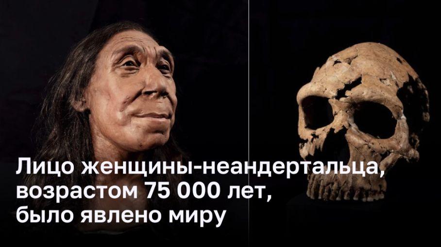 Лицо женщины-неандертальца, возрастом 75 000 лет, было явлено миру