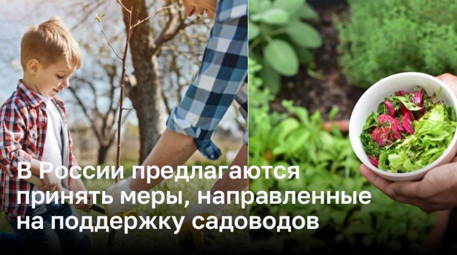 Поддержка и развитие садоводов в России: новые меры и возможности