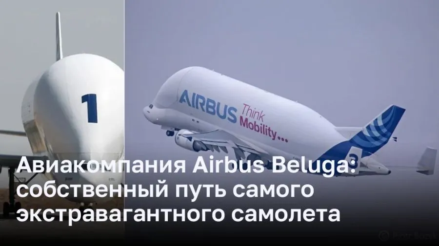 Авиакомпания Airbus Beluga: собственный путь самого экстравагантного самолета