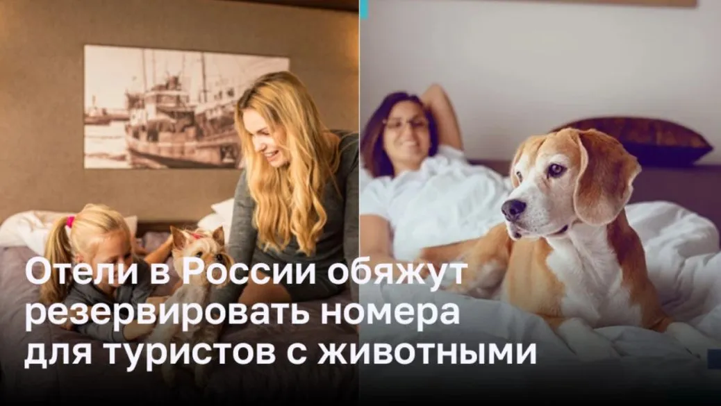 Отели в России обяжут резервировать номера для туристов с животными Отели в России обяжут резервировать номера для туристов с животными