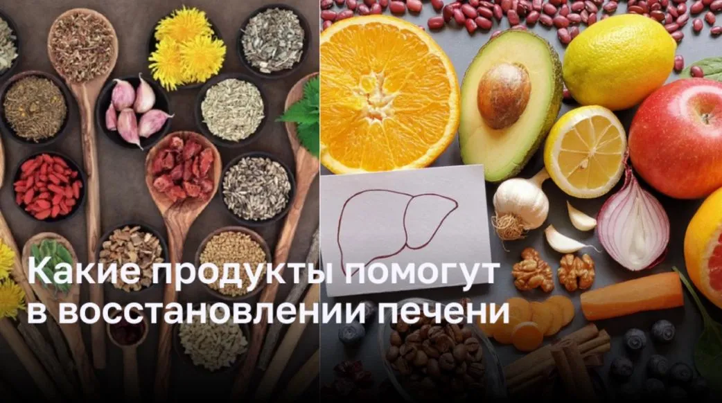 Какие продукты помогут в восстановлении печени