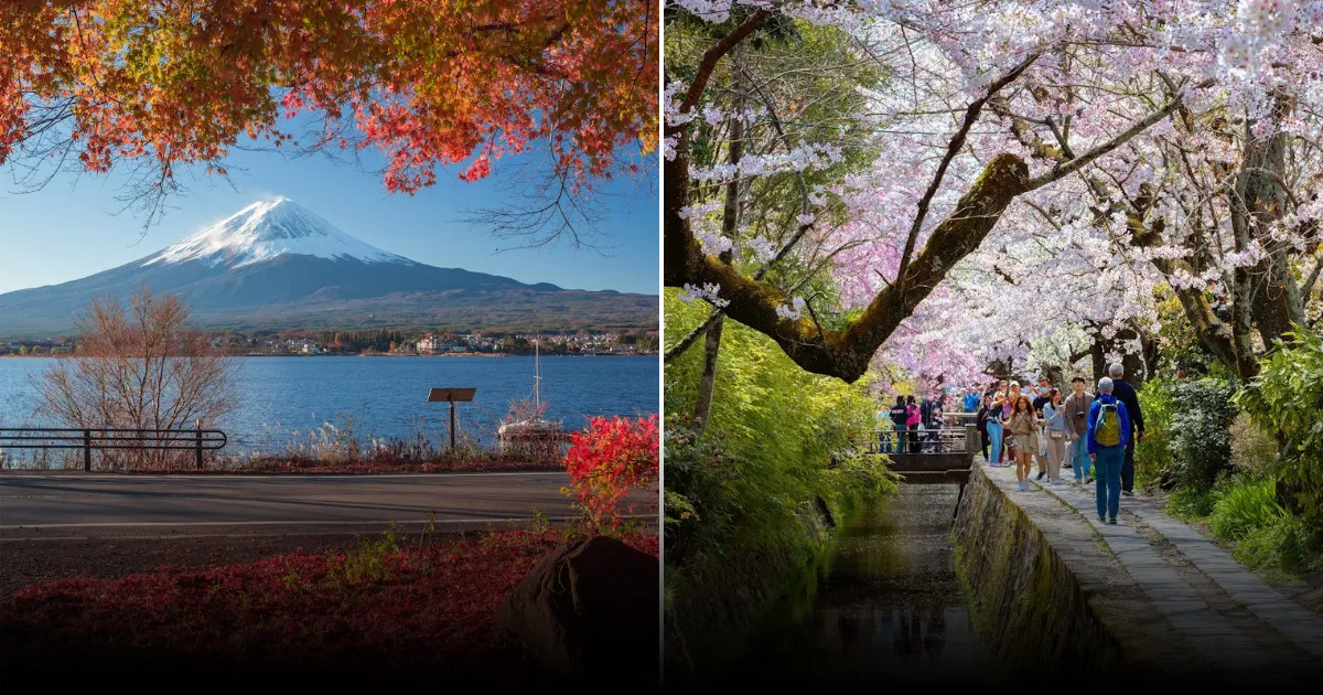 Когда лучше всего посетить Японию