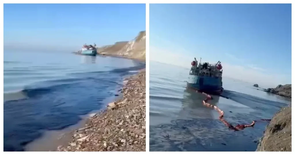 Ученые рассказали о последствиях разлива мазута в Черном море