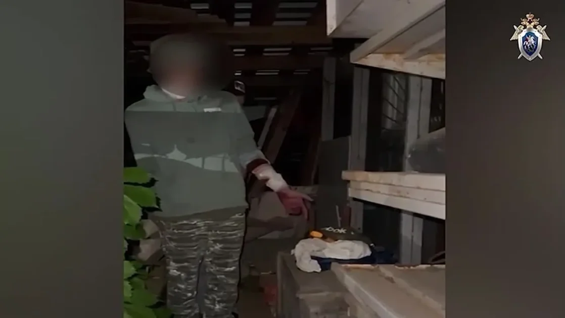 Неизвестный напал на двух девочек-подростков в Подмосковье Неизвестный напал на двух девочек-подростков в Подмосковье