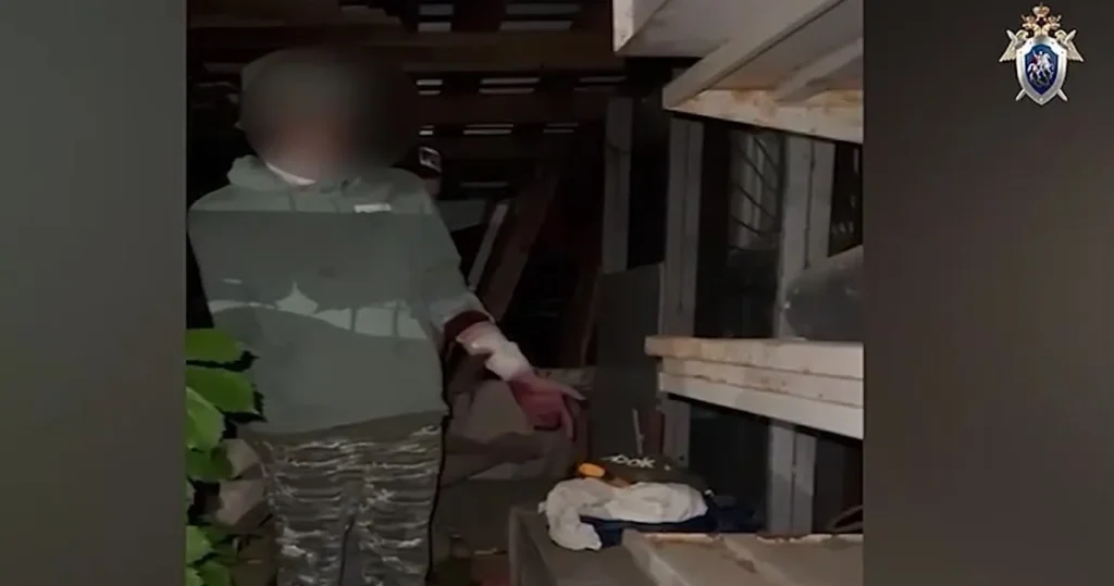 Неизвестный напал на двух девочек-подростков в Подмосковье