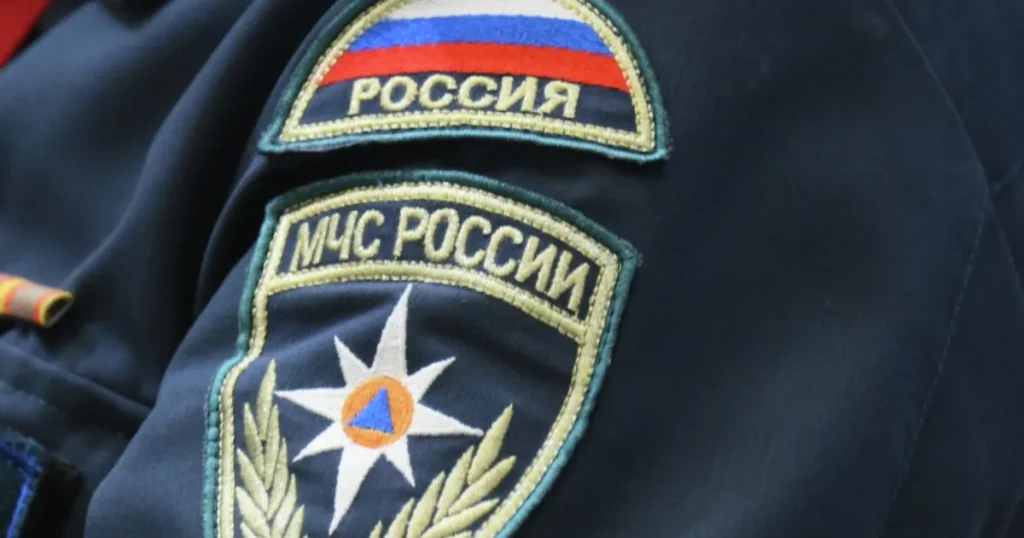 В Ярославской области в лесу пропала женщина с пятью детьми
