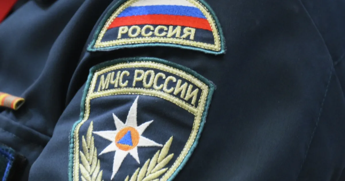 В Ярославской области в лесу пропала женщина с пятью детьми