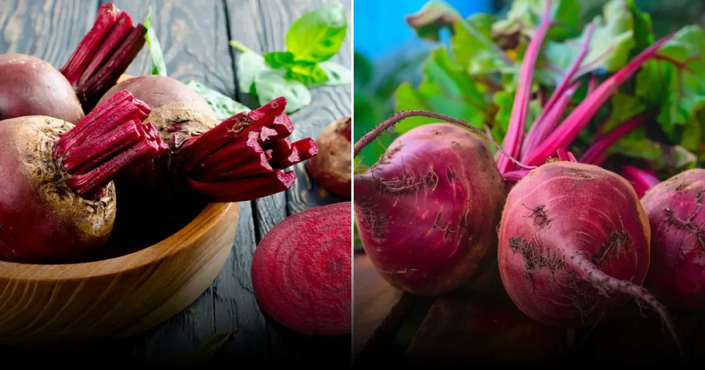 Вареная или жареная: диетологи рассказали, какая свёкла полезнее для здоровья