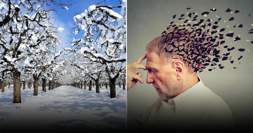 Россиянам назвали 5 причин предновогодней депрессии