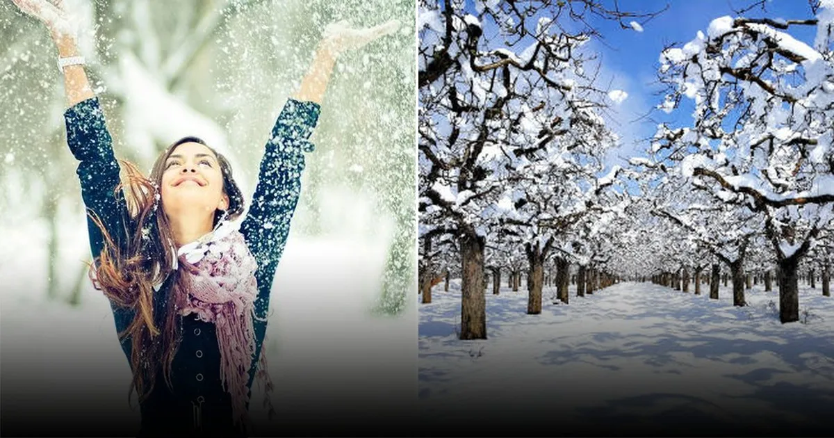 Погода на Новый год 2026: что ждёт россиян на праздники Погода на Новый год 2026: что ждёт россиян на праздники