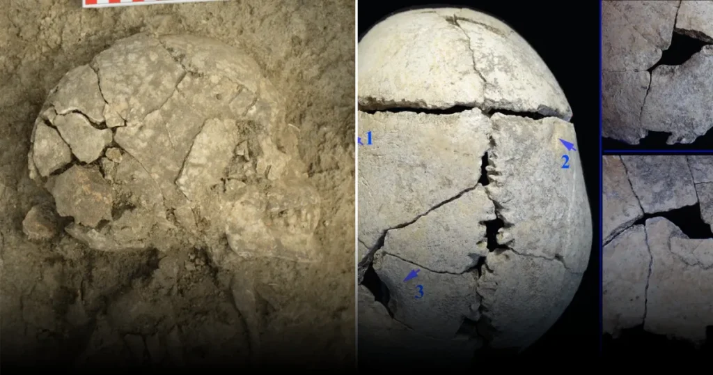 Он пережил нападение льва: история подростка, которому около 6200 лет