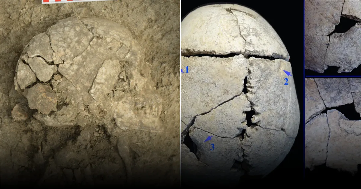 Он пережил нападение льва: история подростка, которому около 6200 лет