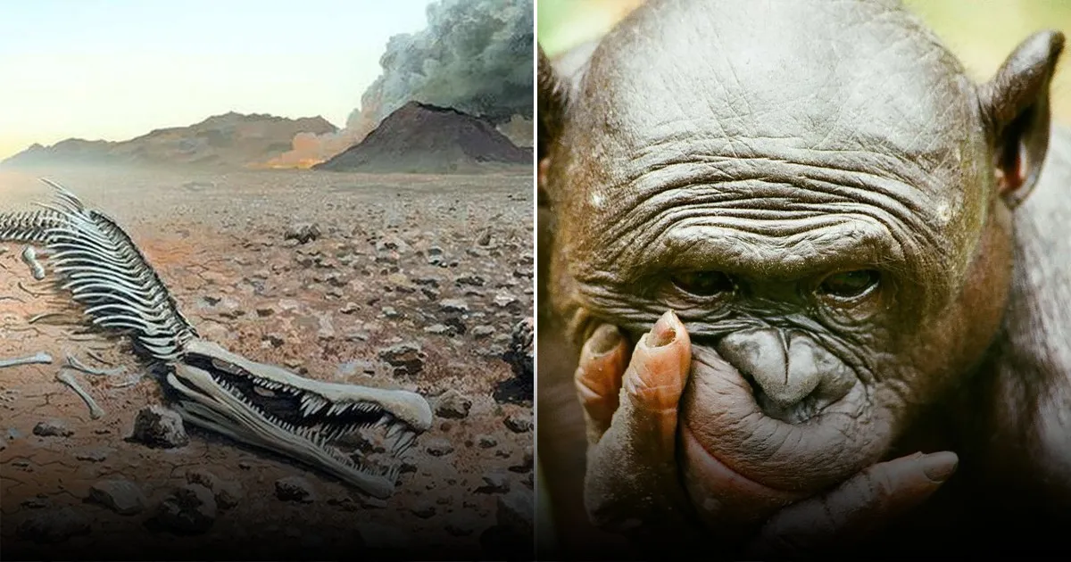 Учёные рассказали, какие создания возникли после первого ледового катаклизма