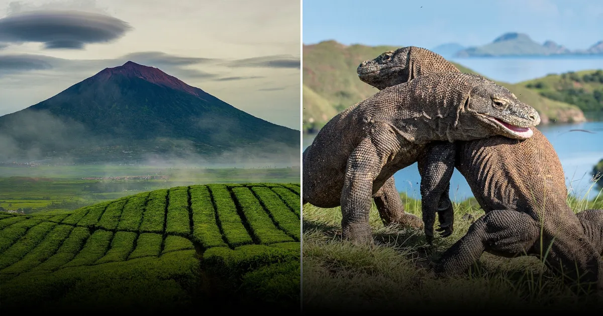 Лучшие места для посещения в Индонезии: 13 достопримечательностей