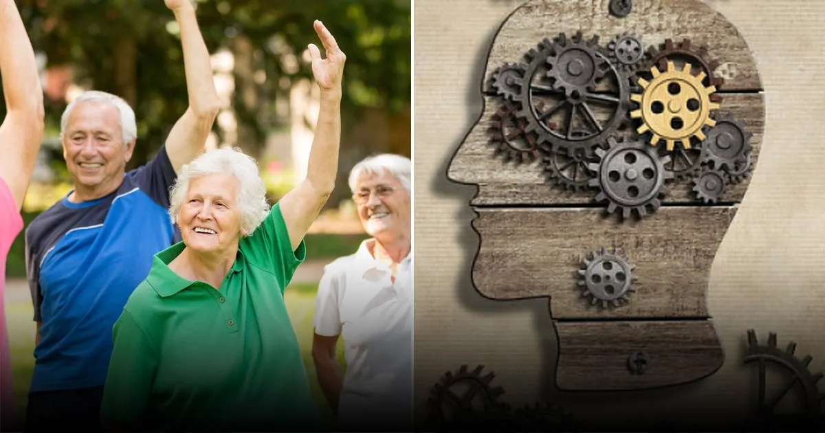 Учёные установили, что полезные привычки замедляют старение мозга