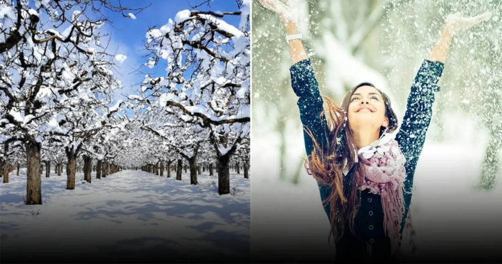 Раскрыт ментальный трюк, помогающий пережить морозы