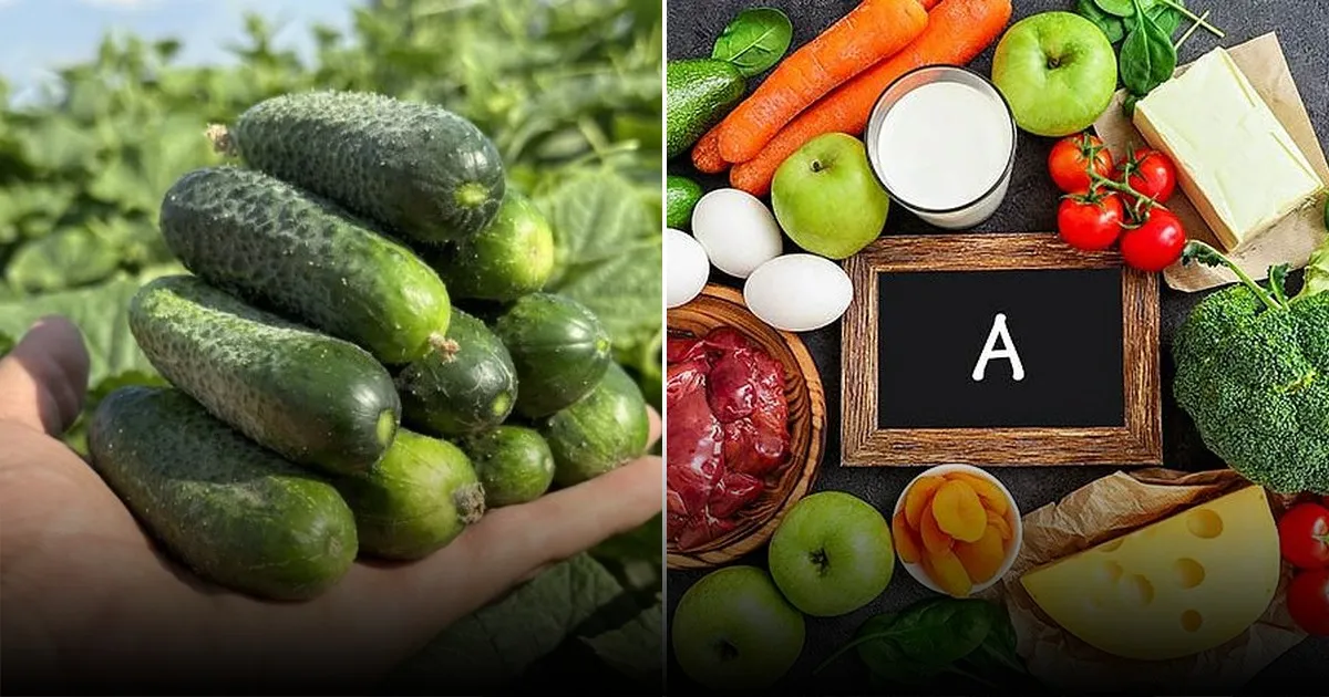 Что нельзя есть с огурцом: опасное сочетание, которое замедляет метаболизм Что нельзя есть с огурцом: опасное сочетание, которое замедляет метаболизм