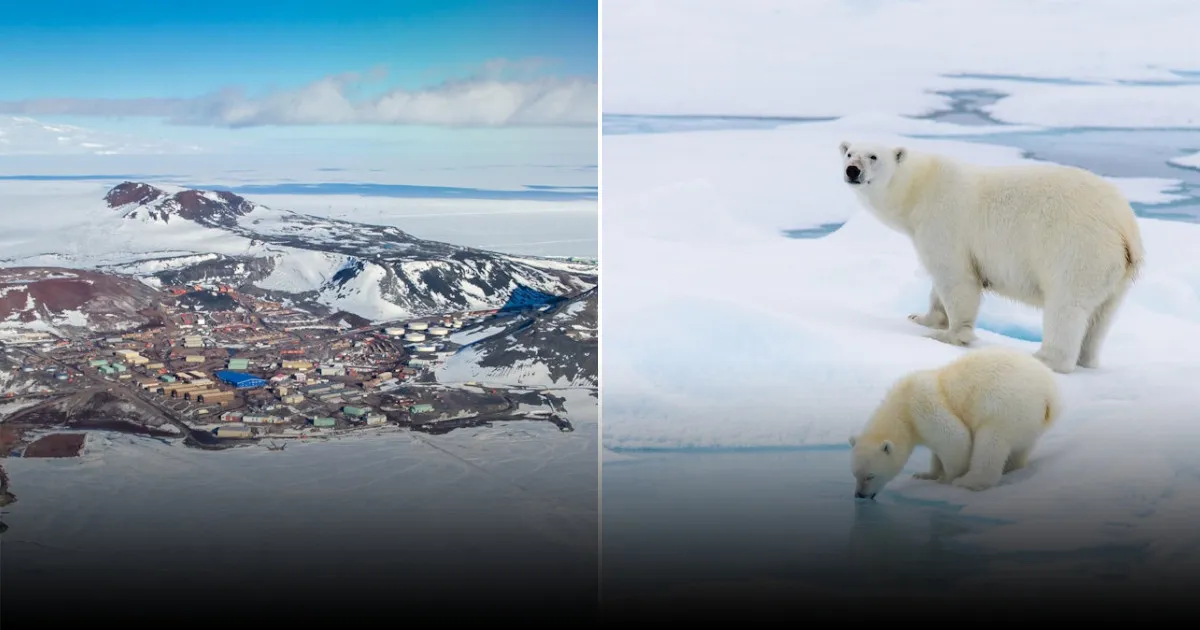 Арктика или Антарктика: какой полярный край вам ближе для экстремальных путешествий Арктика или Антарктика: какой полярный край вам ближе для экстремальных путешествий
