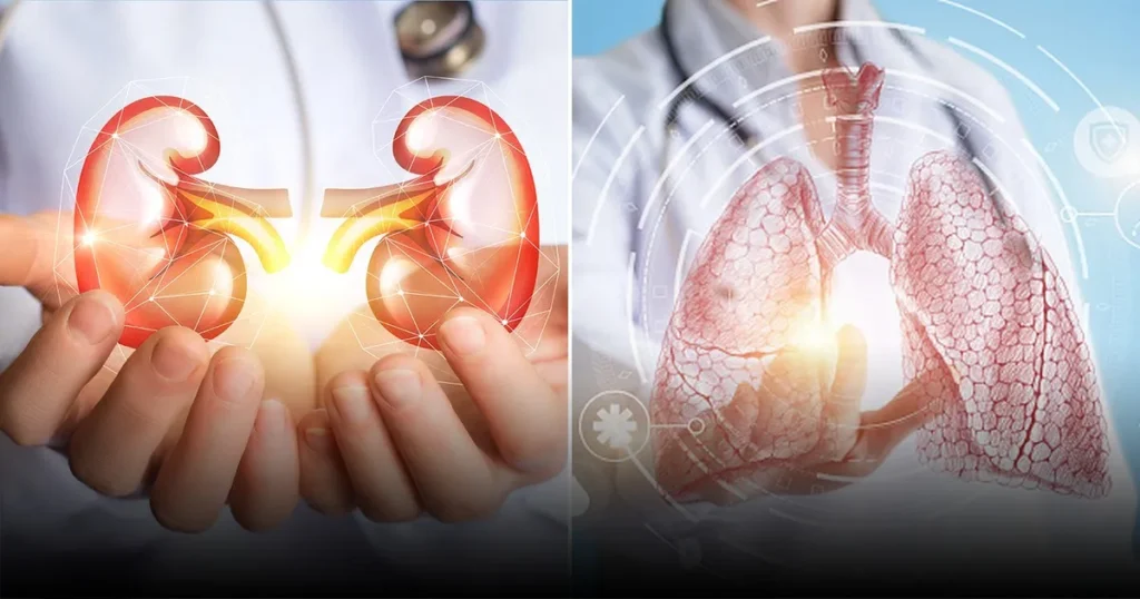 Что скрывает современная медицина и как это может изменить нашу жизнь