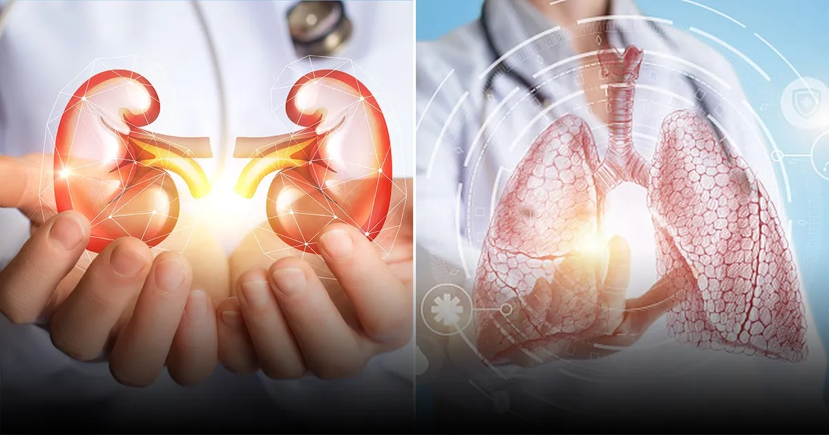 Что скрывает современная медицина и как это может изменить нашу жизнь Что скрывает современная медицина и как это может изменить нашу жизнь