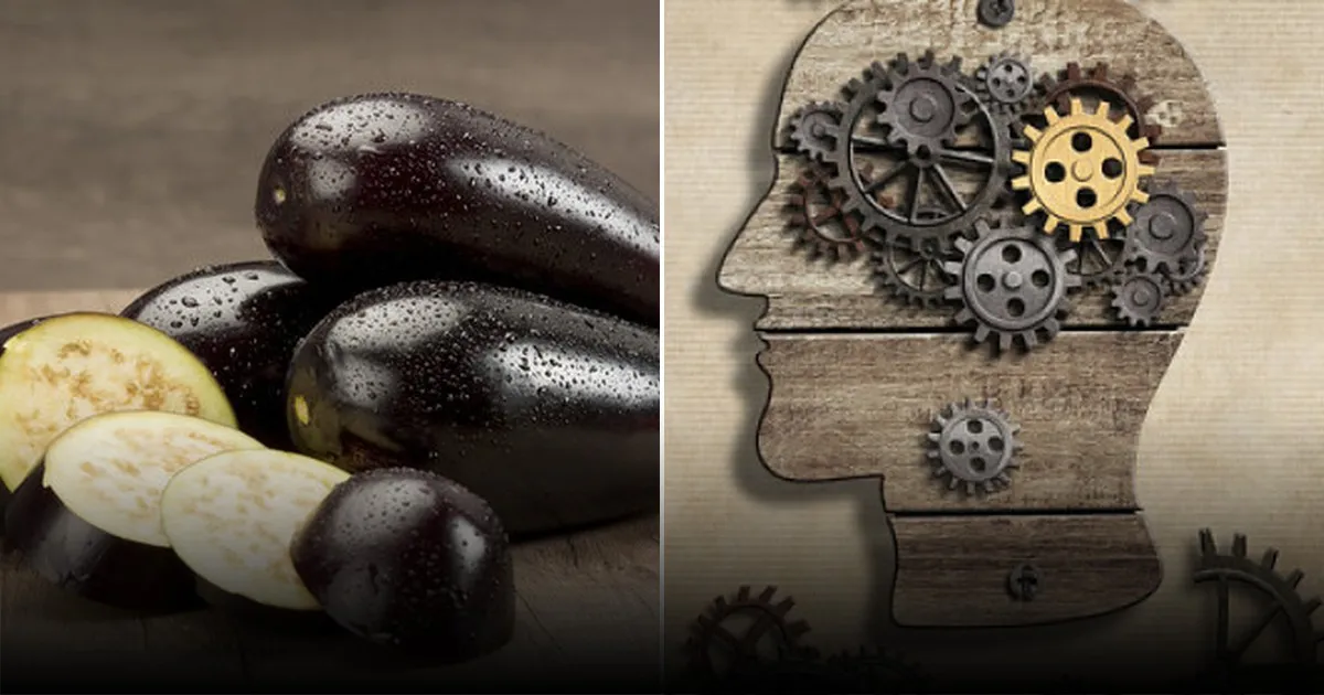 Исследование доказало пользу баклажанов для мозга