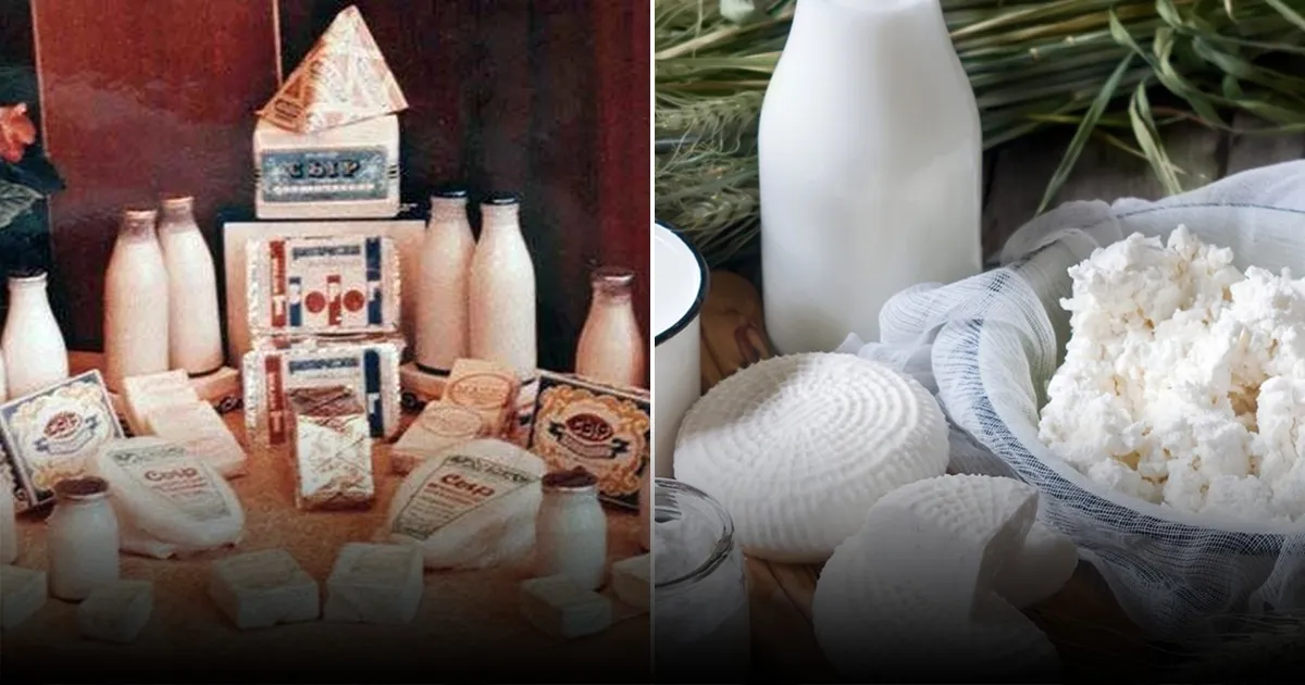 Никакого молока: ветеринар назвала список разрешённых для кошек продуктов Никакого молока: ветеринар назвала список разрешённых для кошек продуктов