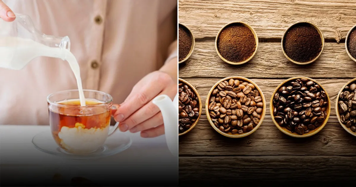 Бренд-бариста объяснила, как молоко влияет на вкус кофе