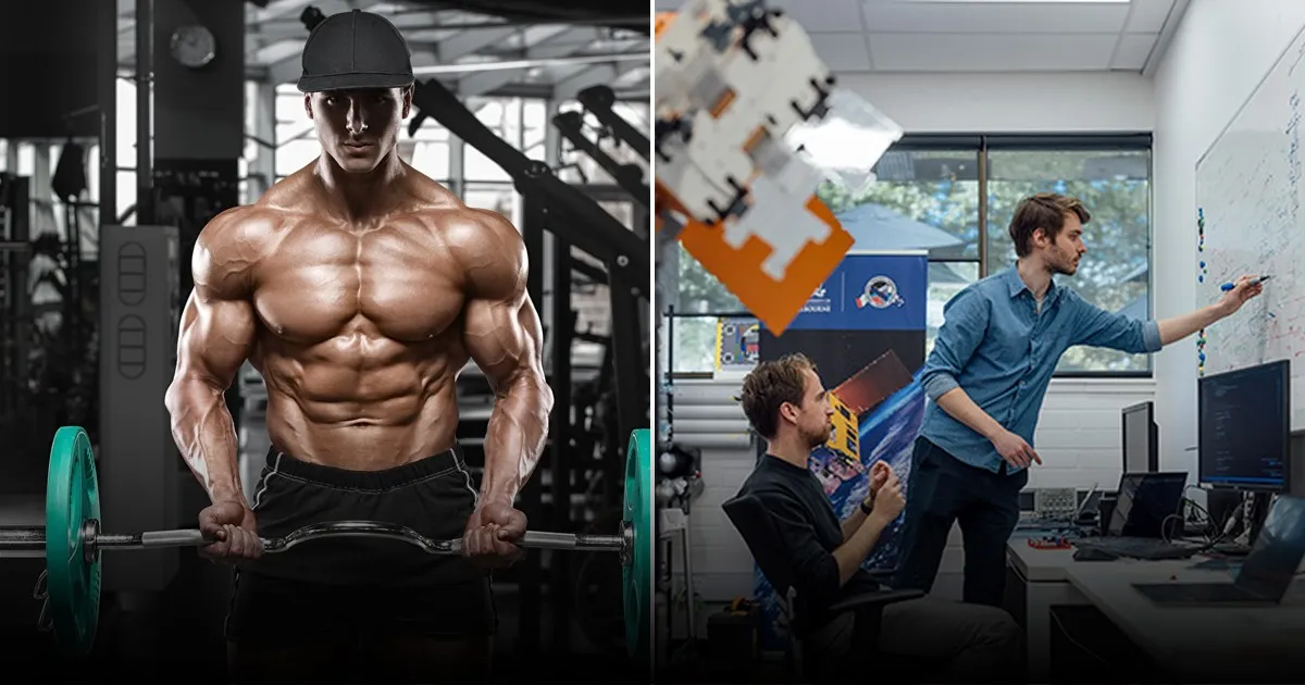 Учёные опровергают миф о «тупых качках»: мускулистые мужчины часто обладают высоким интеллектом