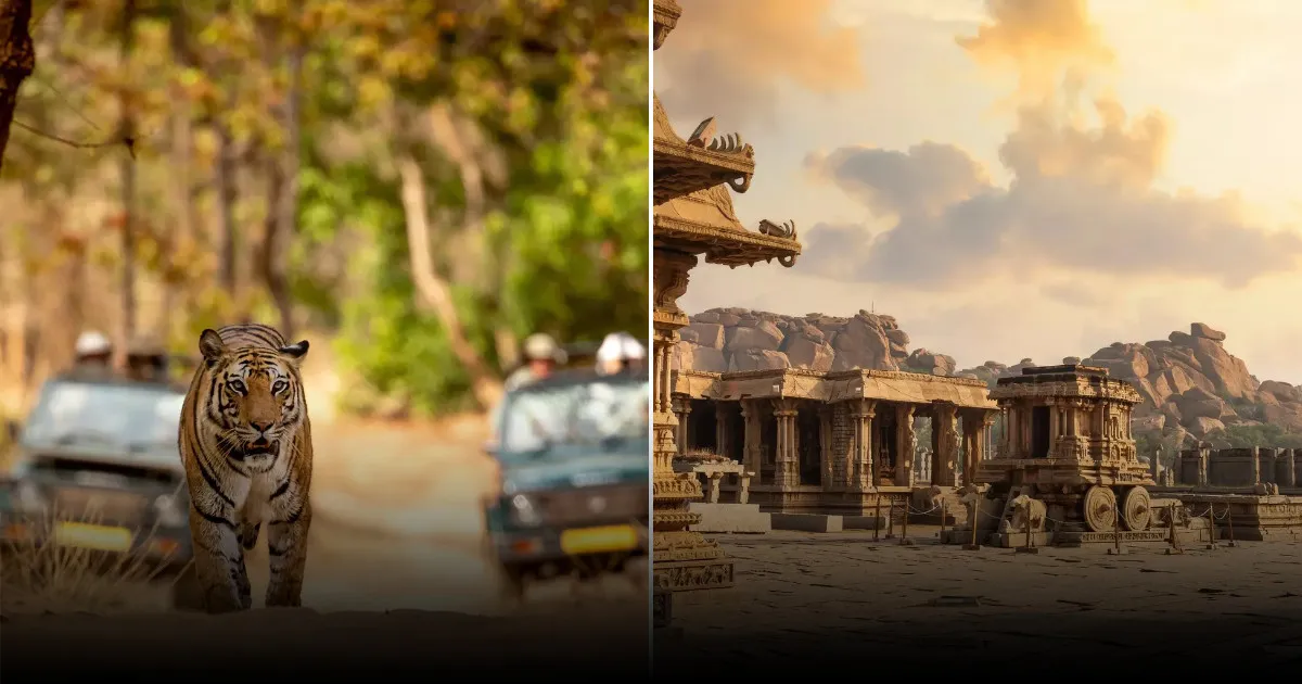 Чем заняться в Индии: лучшие активности