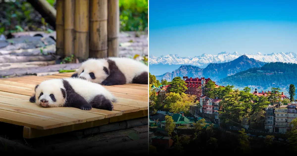 Лучшие места в Азии для путешествия летом 2026