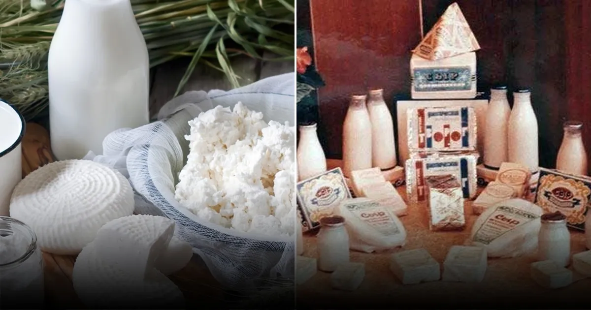 6 распространённых мифов о молочных продуктах